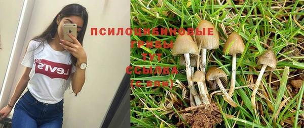 каннабис Абдулино